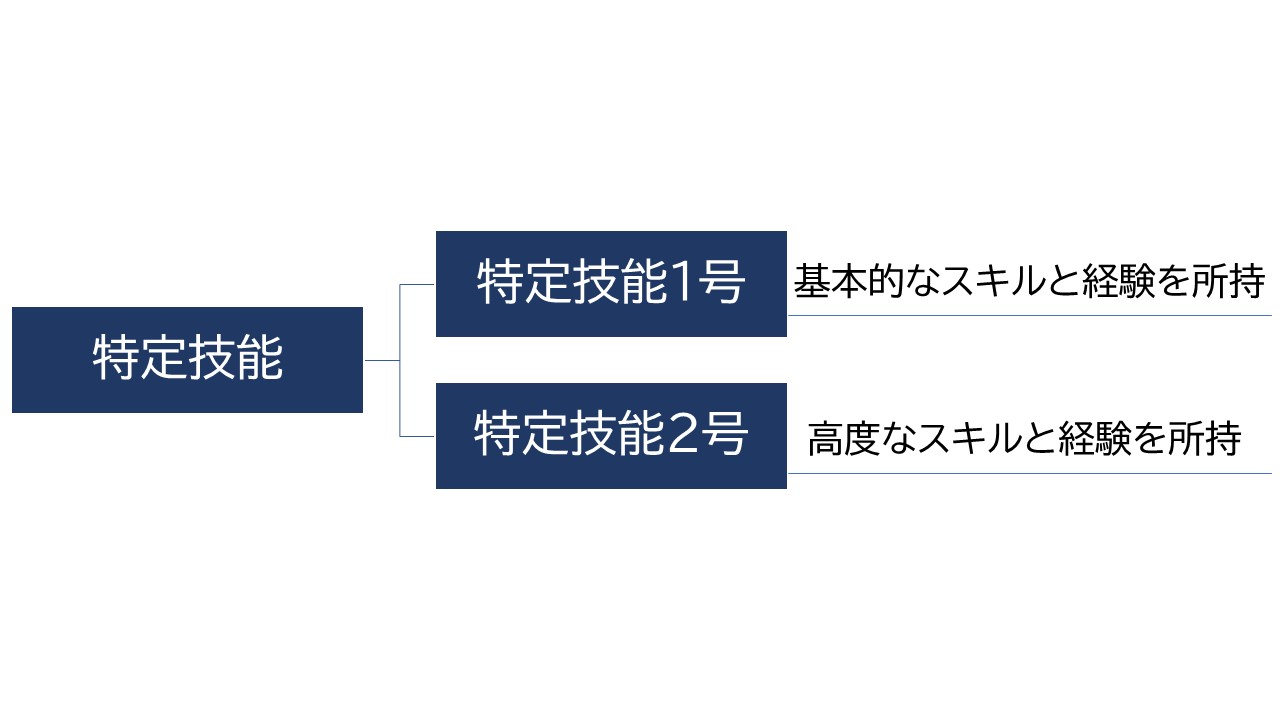 特定技能1